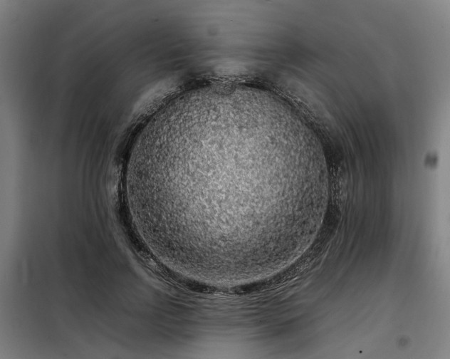X0000098120742200804041408