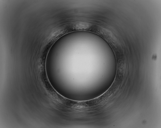 X0000098120743200804041408