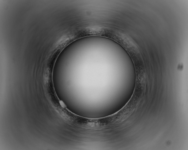 X0000098120744200804041408