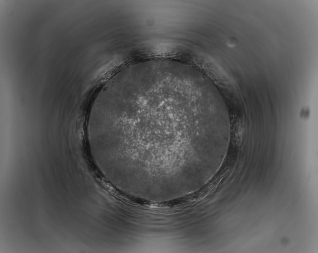 X0000098120746200804041408