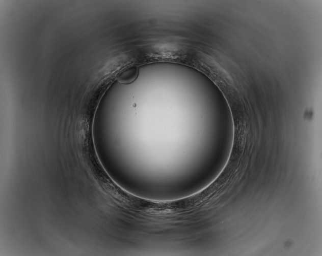 X0000098120747200804041408