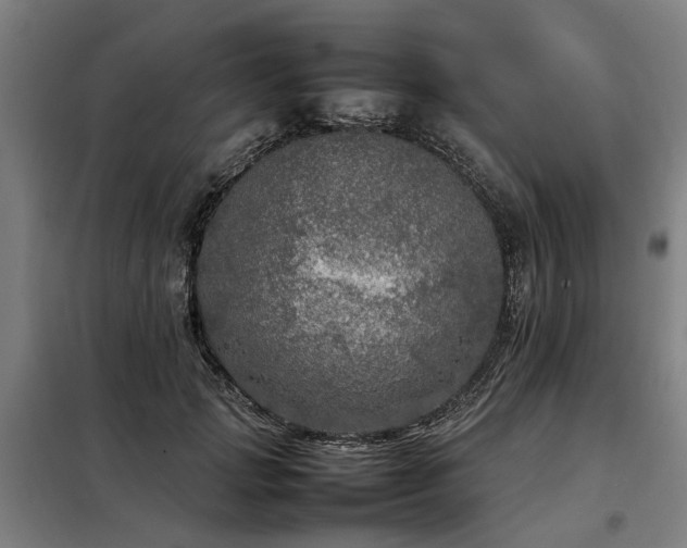 X0000098120749200804041408