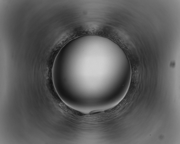 X0000098120750200804041408
