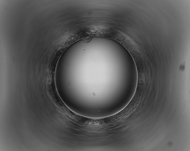 X0000098120751200804041408