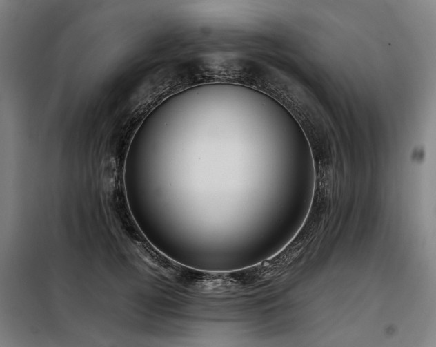 X0000098120752200804041408