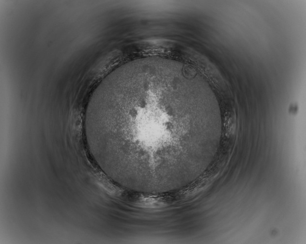 X0000098120753200804041408