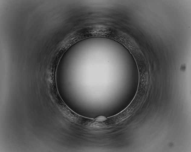 X0000098120755200804041408
