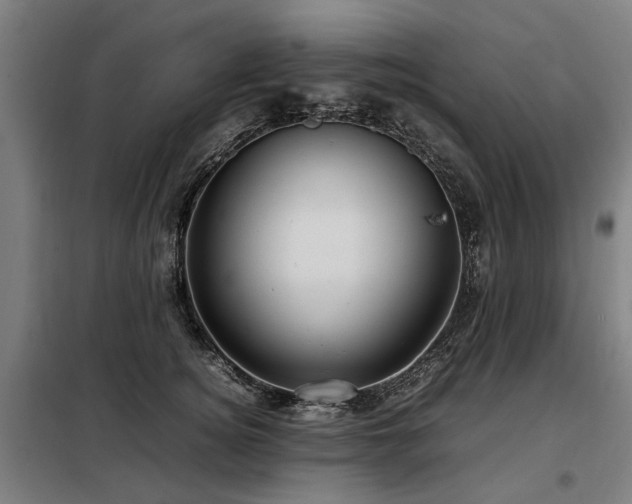 X0000098120756200804041408