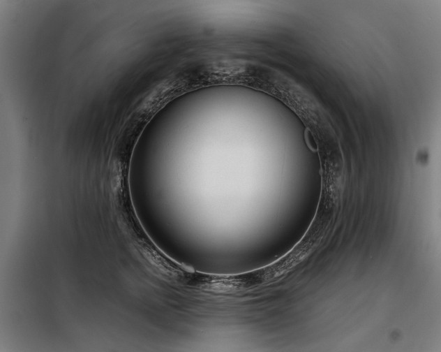 X0000098120758200804041408