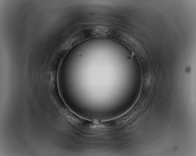 X0000098120759200804041408