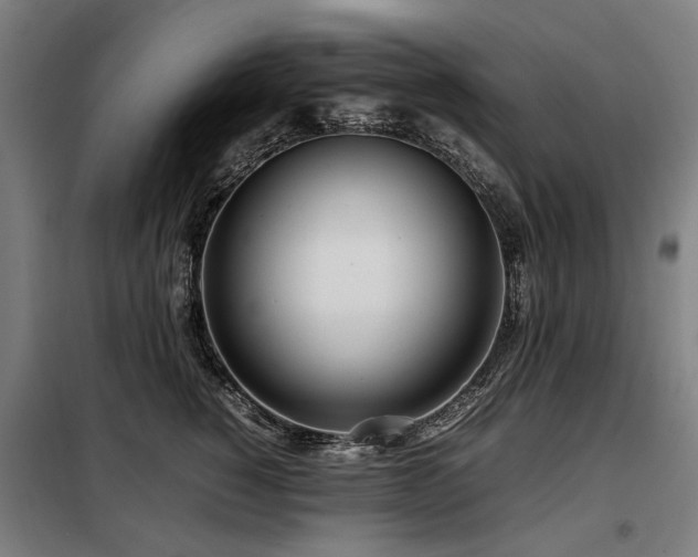 X0000098120760200804041408