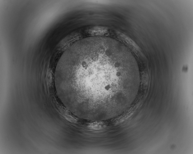 X0000098120761200804041408