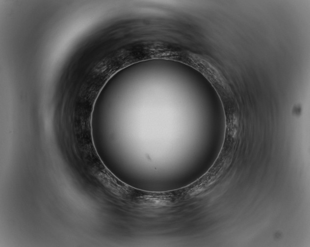 X0000098120763200804041408