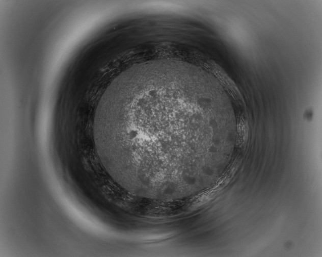X0000098120765200804041408