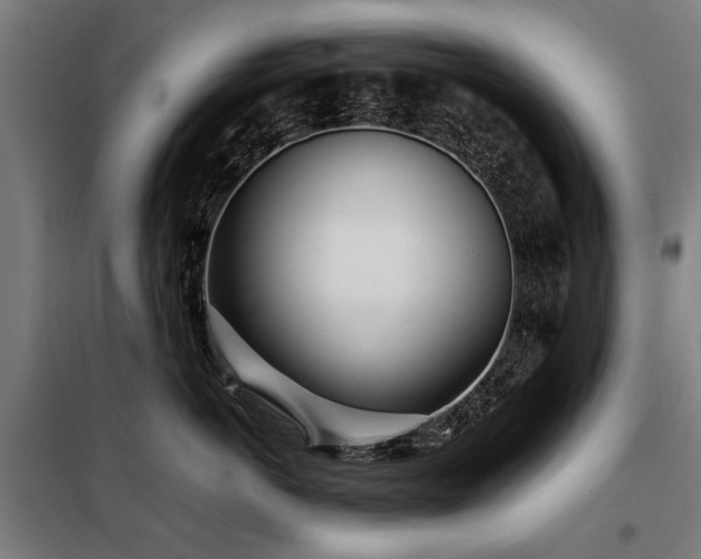 X0000098120766200804041408