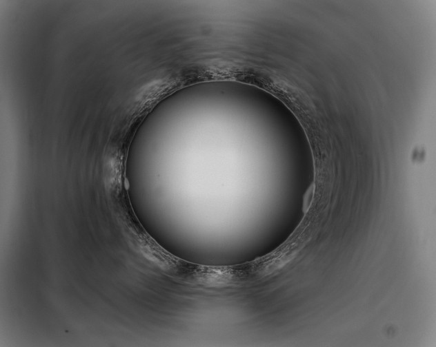X0000098120768200804041408