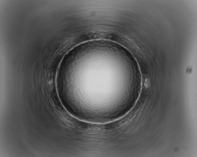 X0000098120771200804041407