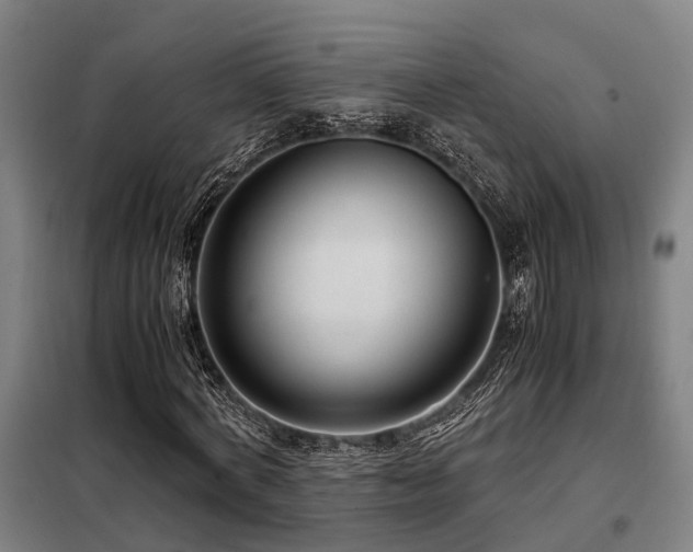 X0000098120772200804041407