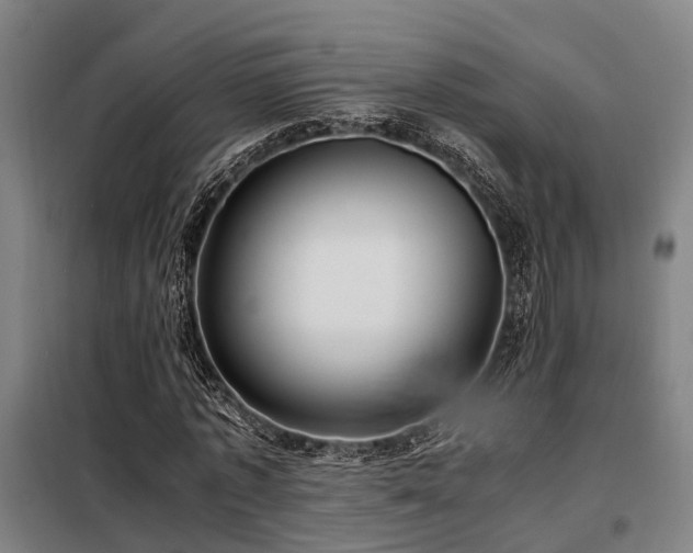 X0000098120773200804041407