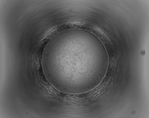 X0000098120774200804041407