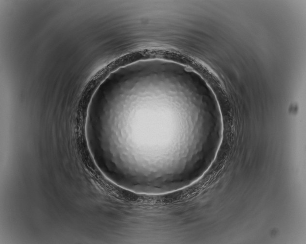 X0000098120775200804041407
