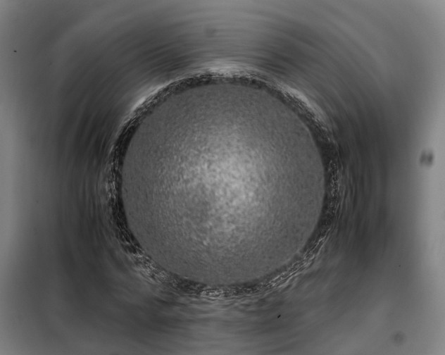 X0000098120776200804041407