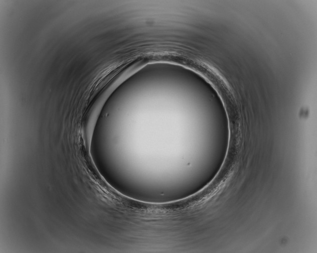 X0000098120777200804041407