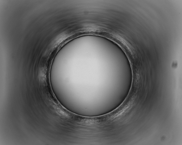 X0000098120778200804041407