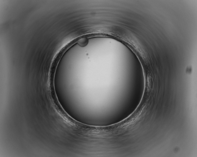 X0000098120780200804041407