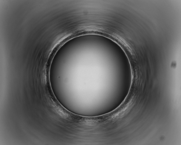 X0000098120782200804041407