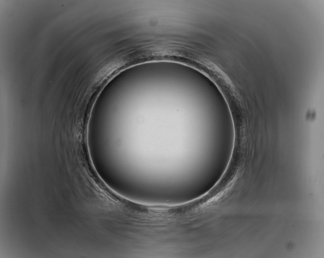 X0000098120785200804041407