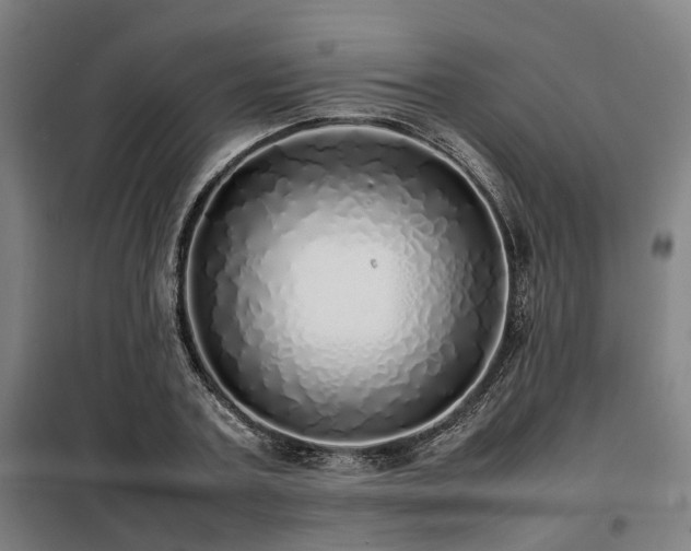 X0000098120787200804041407