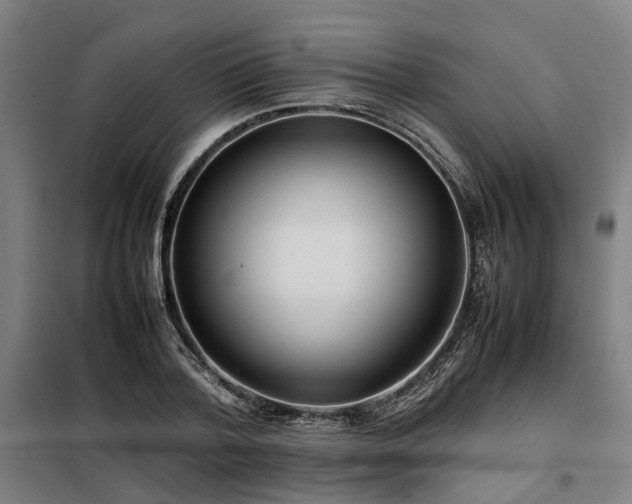 X0000098120788200804041407