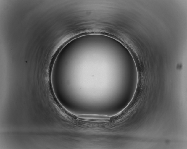 X0000098120789200804041407