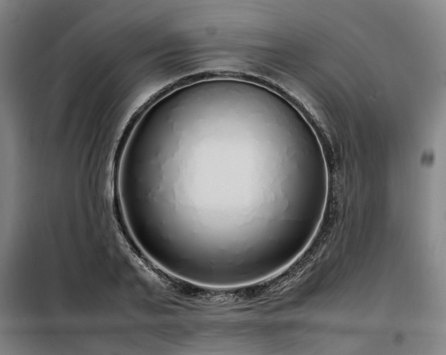 X0000098120791200804041407