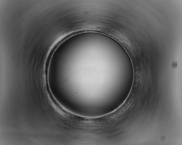 X0000098120792200804041407