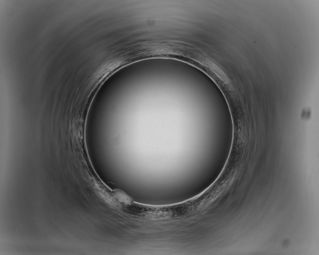 X0000098120793200804041407