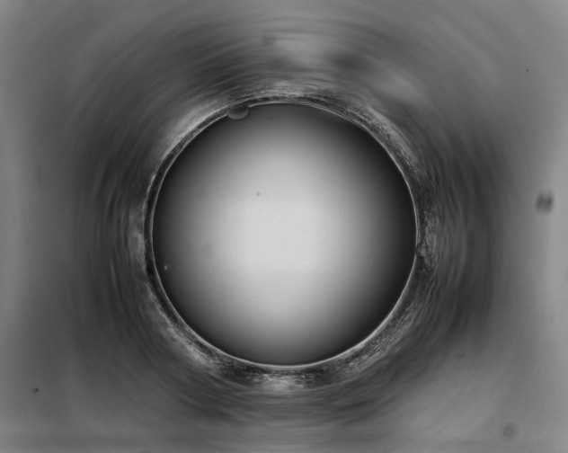 X0000098120794200804041407