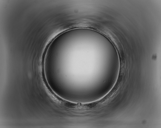 X0000098120795200804041407