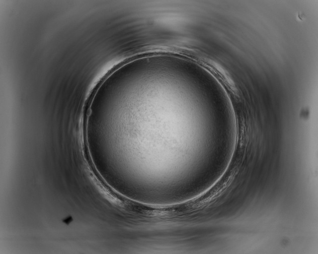 X0000098120796200804041407