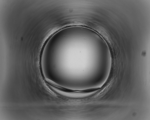 X0000098120797200804041407