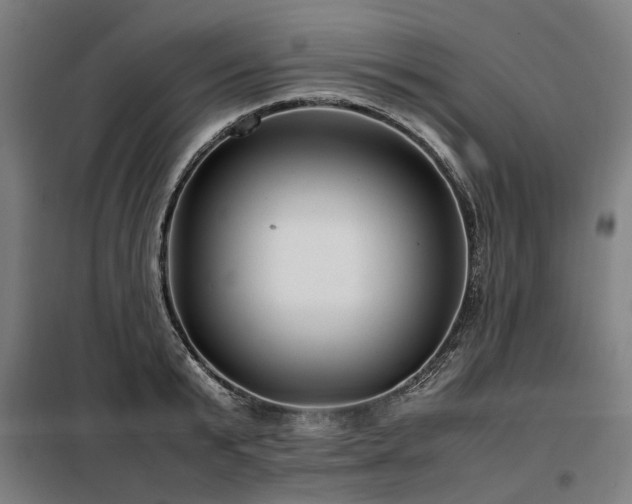 X0000098120799200804041407