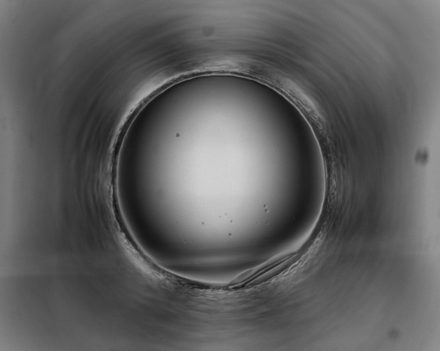 X0000098120800200804041407