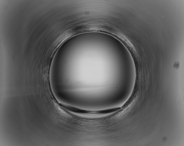 X0000098120801200804041407
