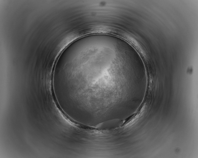 X0000098120802200804041407