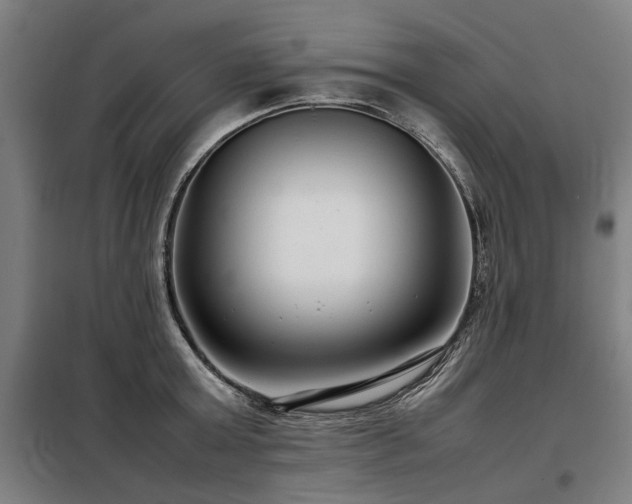 X0000098120803200804041407