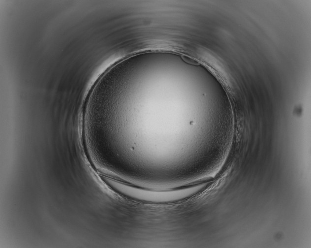 X0000098120804200804041407