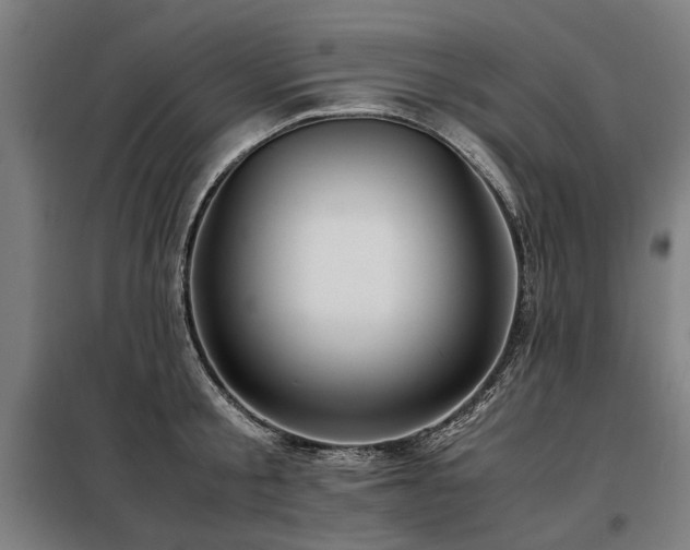 X0000098120805200804041407