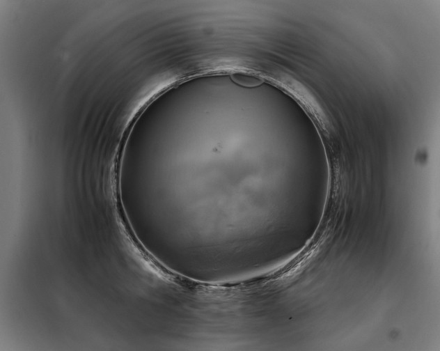 X0000098120806200804041407