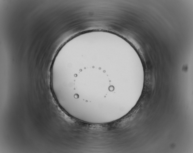 X0000098120807200804041407